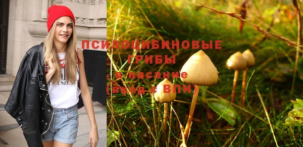 прущая мука Алексеевка