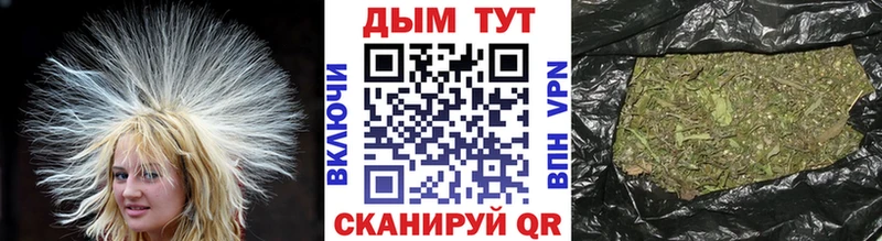 Шишки марихуана Bruce Banner купить цена Кадников
